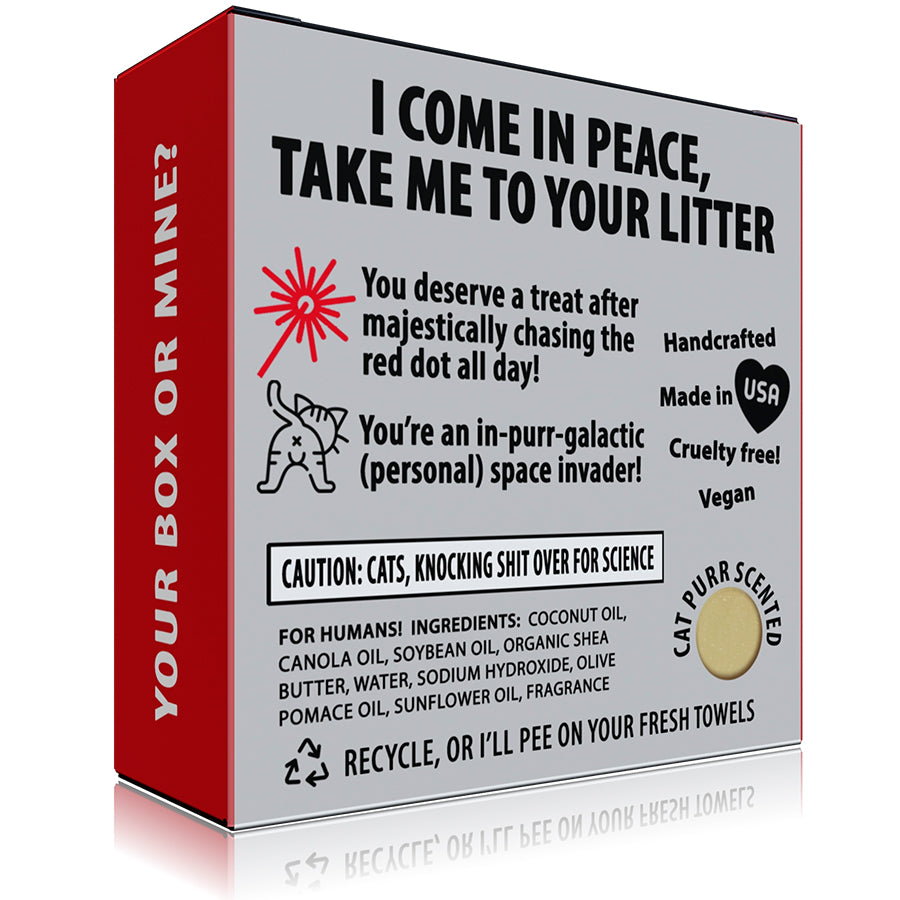 Funny Novelty Soap - Meow-ter Space Cat Soap